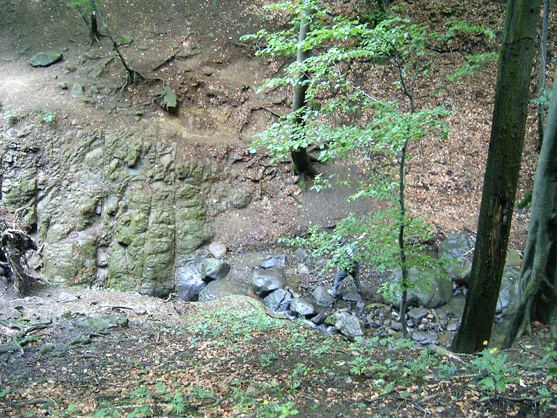 20100814 049.jpg